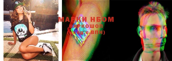 шишки Беломорск