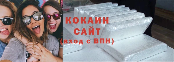 шишки Беломорск
