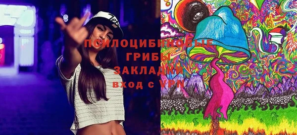 шишки Беломорск