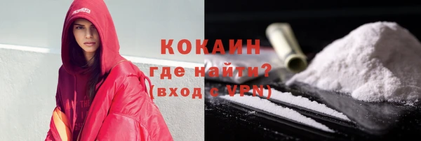 шишки Беломорск