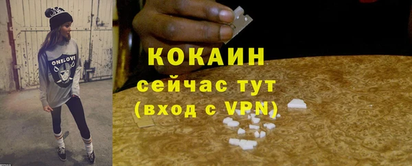шишки Беломорск