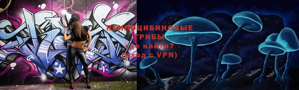 меф Белокуриха