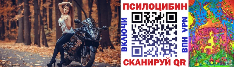 KRAKEN ССЫЛКА  Сегежа  Псилоцибиновые грибы мухоморы 